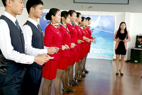 民航服務(wù)禮儀與會(huì)展服務(wù) 專業(yè)規(guī)范與優(yōu)雅形象的融合