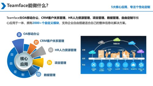 大型集團企業是否需要購買企業信息化系統源代碼進行多次開發